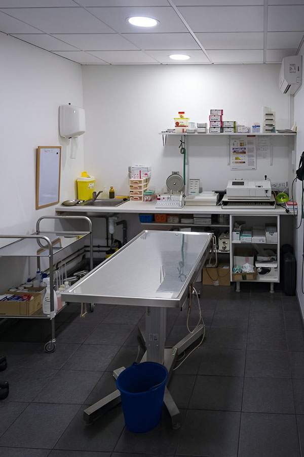 Centre vétérinaire Saint-Louis