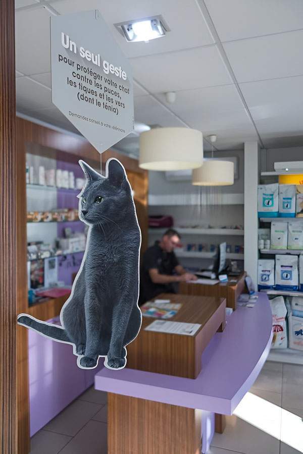 Clinique vétérinaire Saint-Louis