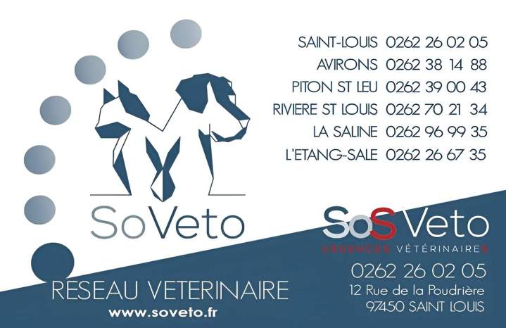 Clinique vétérinaire Saint-Louis