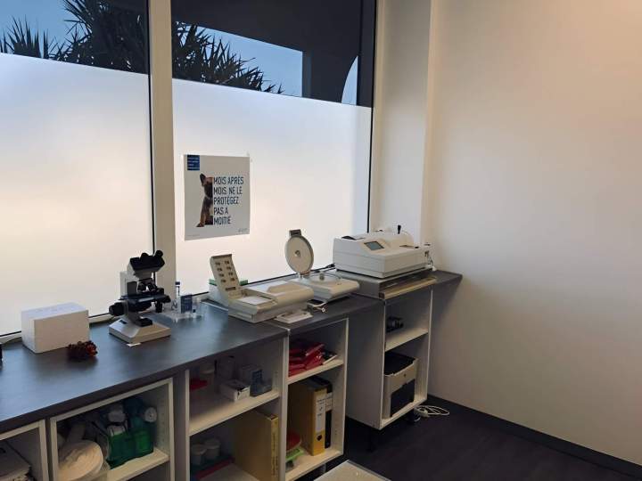 Soins vétérinaires Saint-Louis