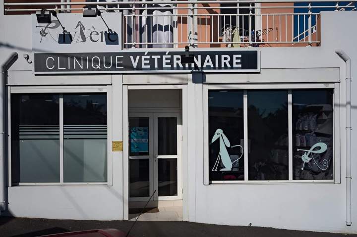 Clinique vétérinaire Saint-Louis
