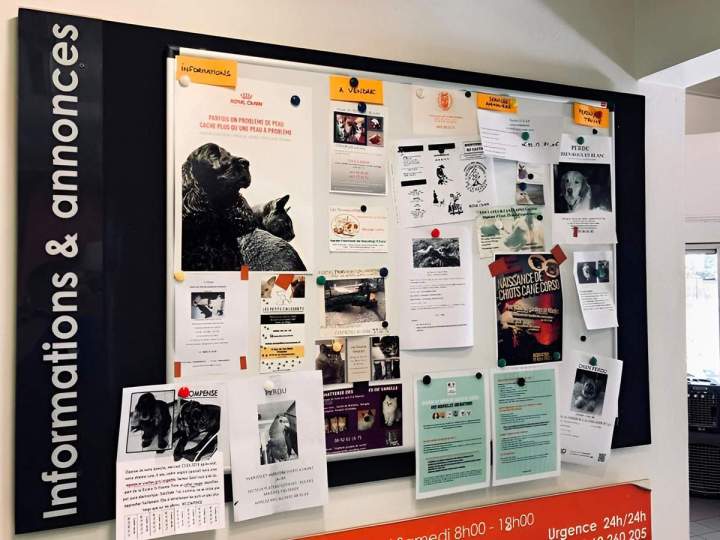 Accessoires animaux Saint-Louis