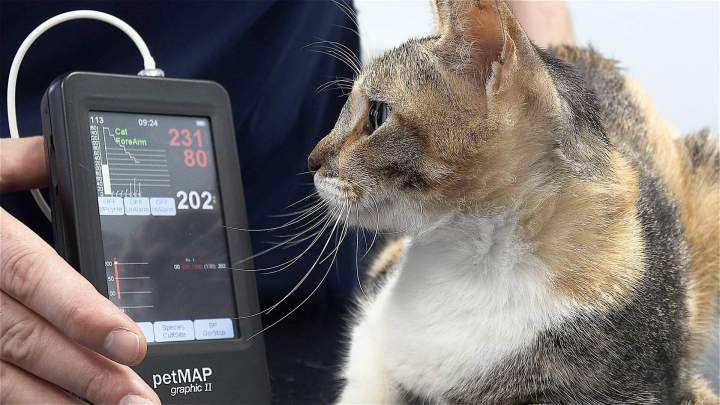 Consultations préventives et vaccinations adaptées