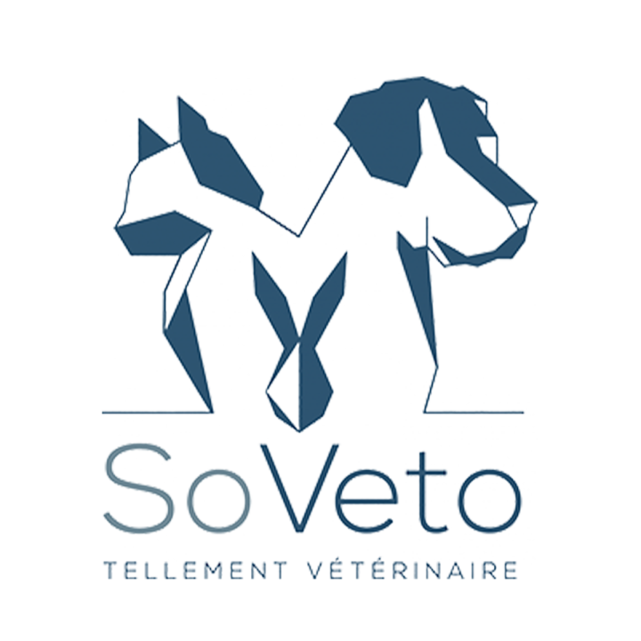 Logo So Veto
