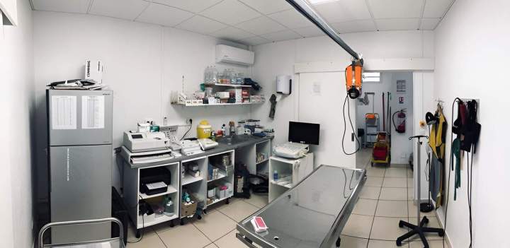 Vétérinaire pour chiens et chats Saint-Louis