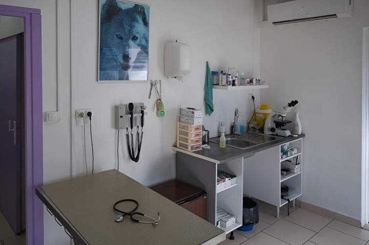 Soins pour animaux Saint-Louis