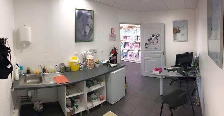 Soins vétérinaires Saint-Louis