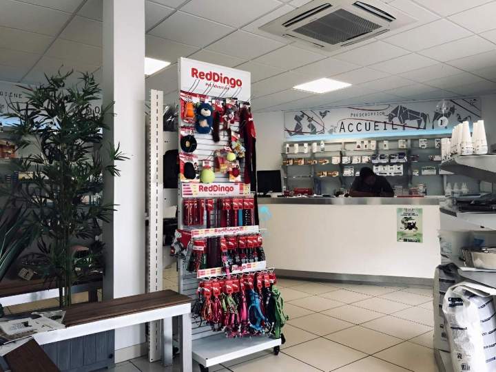 Accessoires et jouets pour animaux Saint-Louis