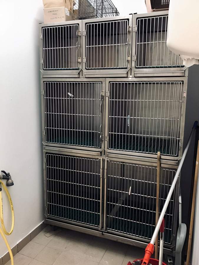 Clinique vétérinaire Saint-Louis