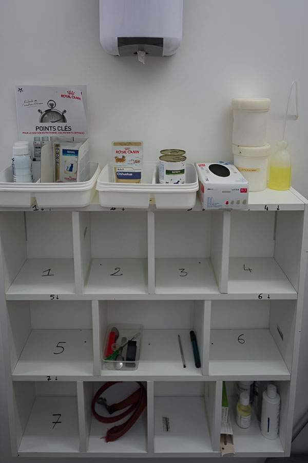 Clinique vétérinaire Saint-Louis