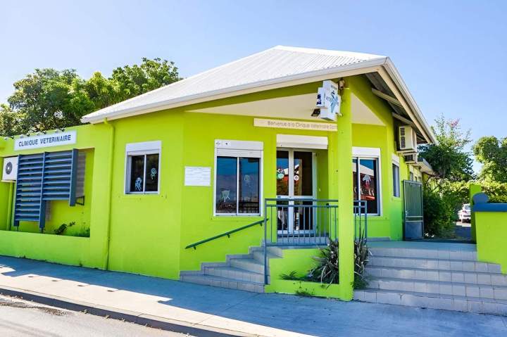 Clinique vétérinaire Saint-Louis