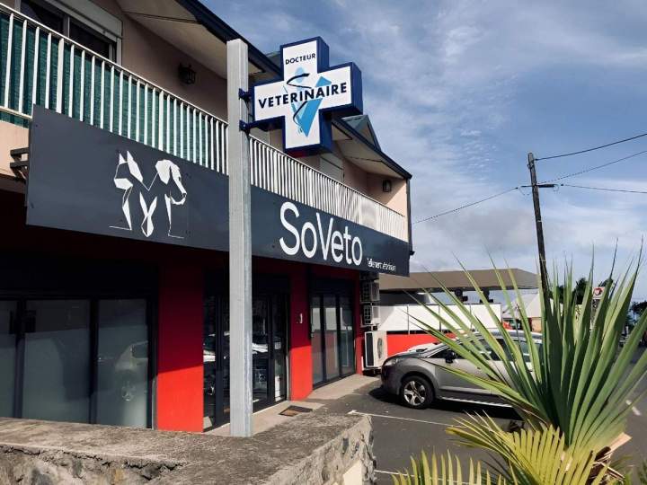 Vétérinaire SoVeto Saint-Louis