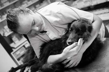 Médecine animale La Réunion