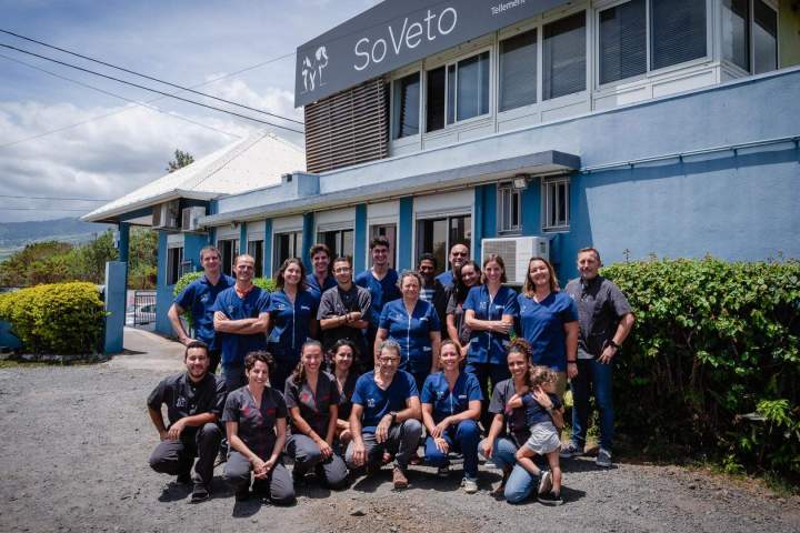 L' équipe du vétérinaire Soveto à Saint-Louis