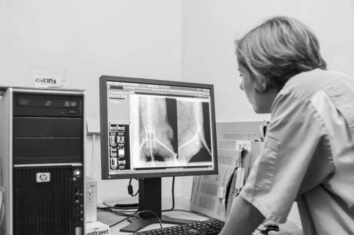 Analyses rapides et imageries précises